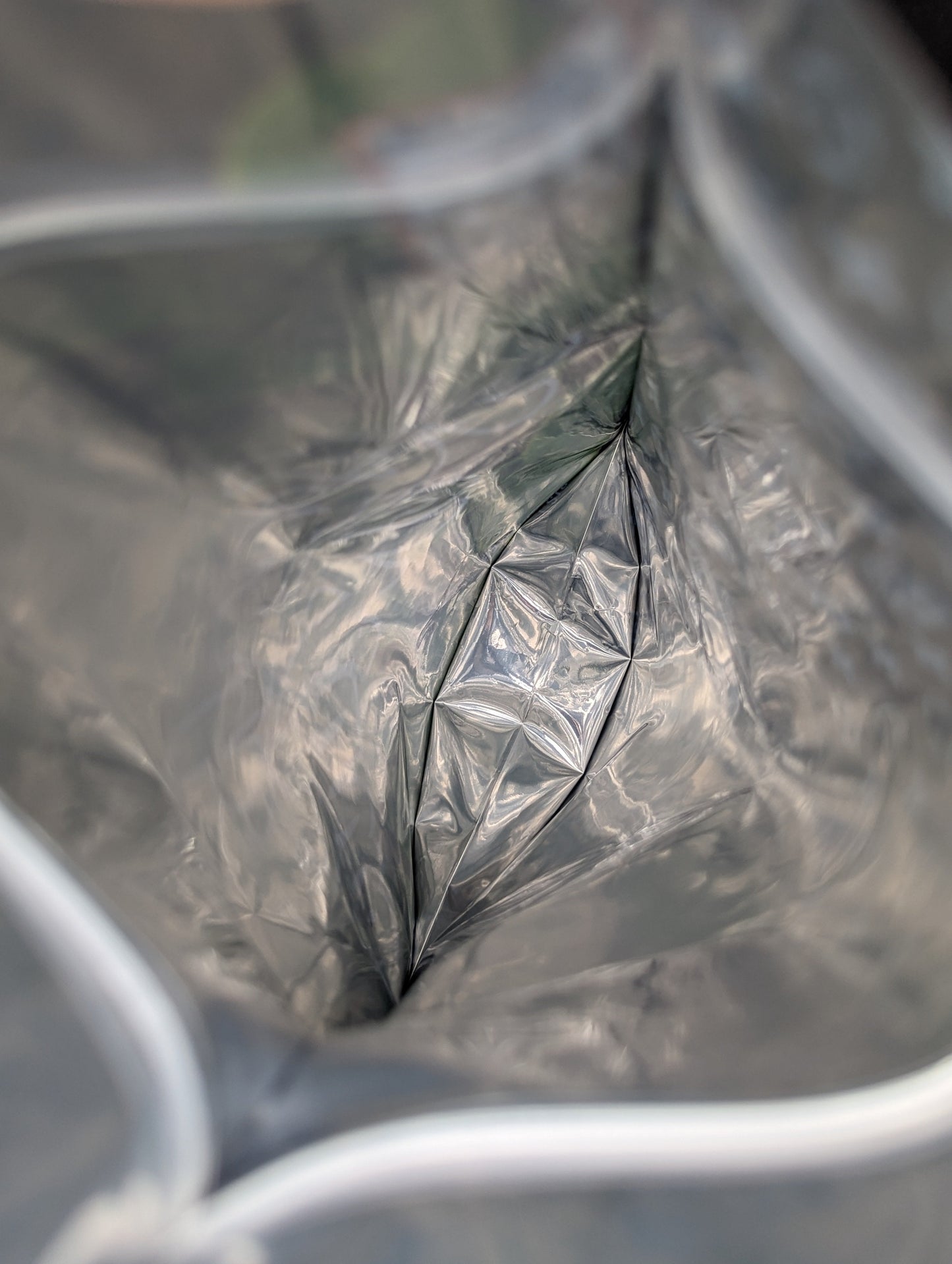 Kush Mints 1oz Mylar Bags